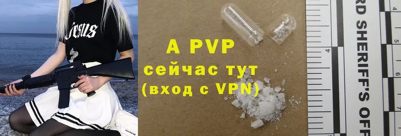 A PVP СК КРИС  Пушкино 